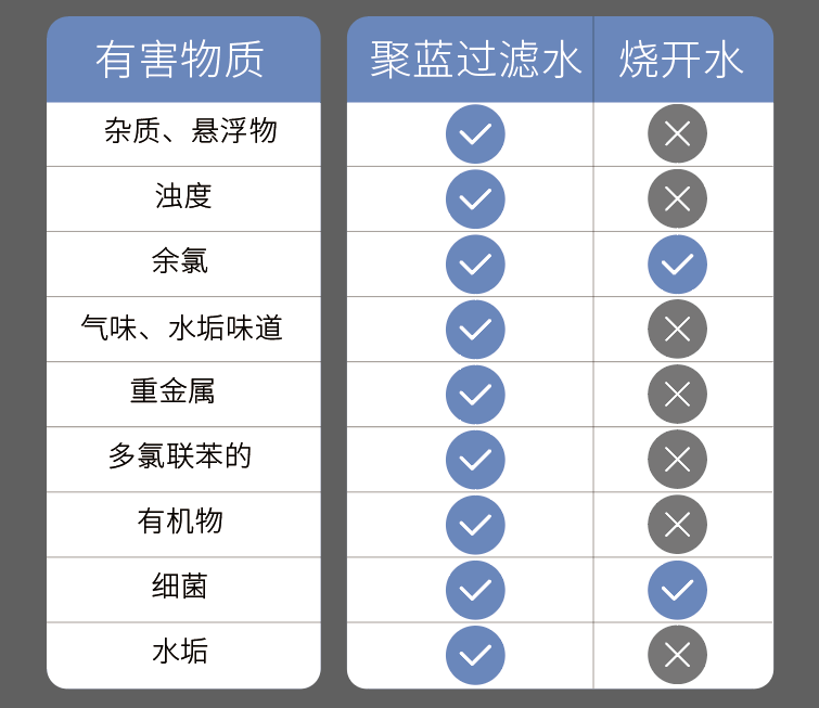 聚蓝净水壶